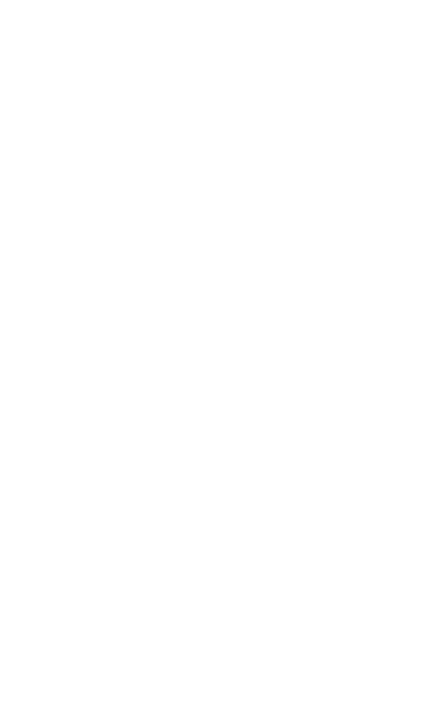 ポリゴン三重